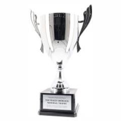 Metal Trophy Cups